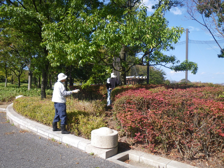 Imgp5367_2