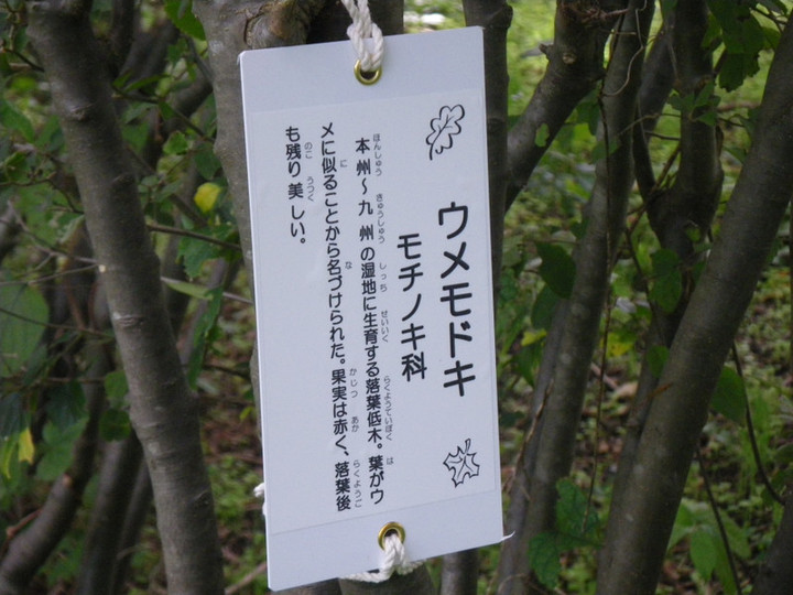 Imgp5366