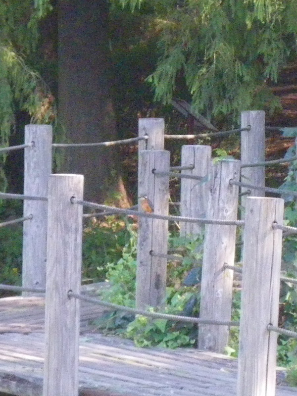 Imgp5373