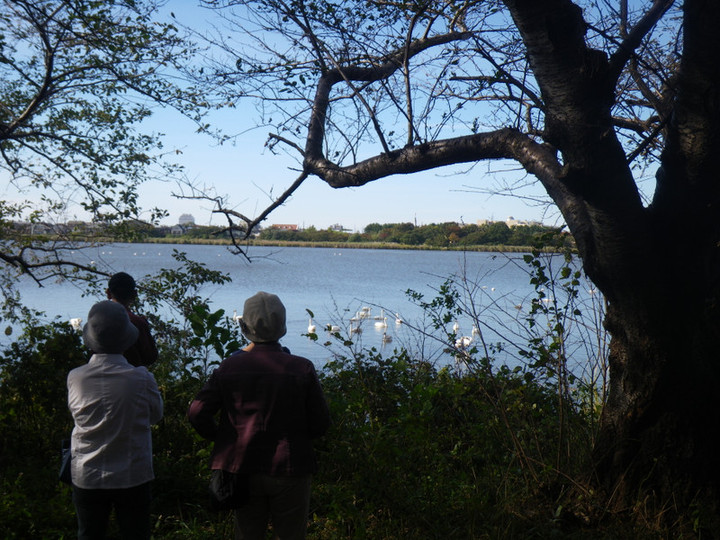 Imgp5426_3