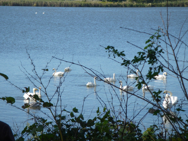 Imgp5427