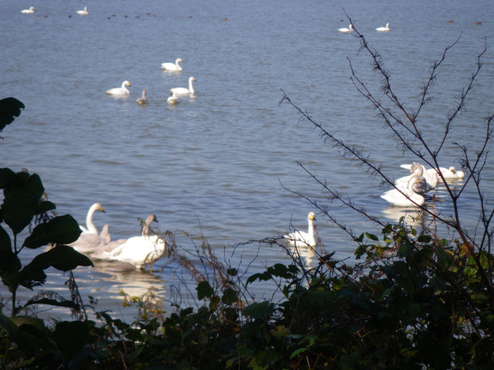 Imgp5495
