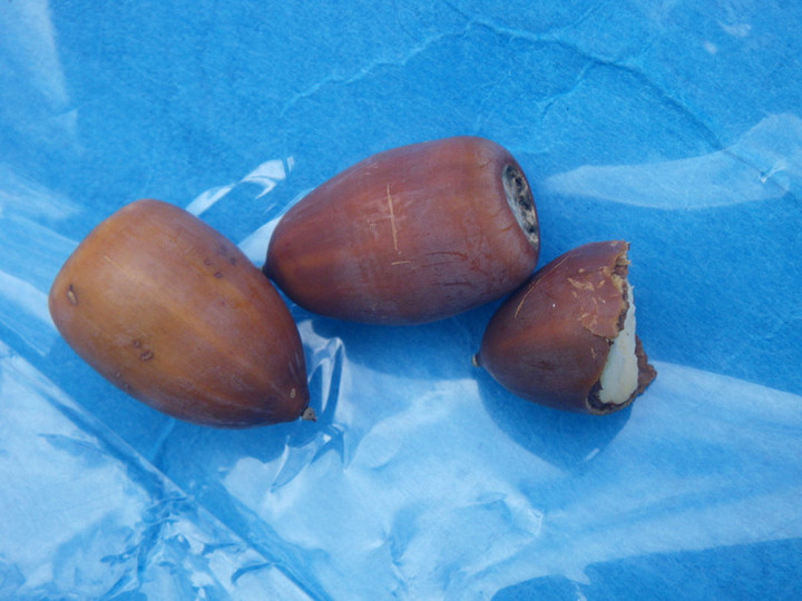 Imgp5658_2