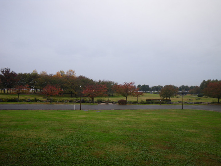 Imgp5703