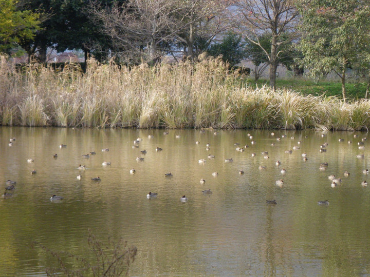 Imgp5867_2