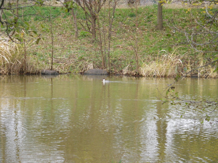Imgp6464_2