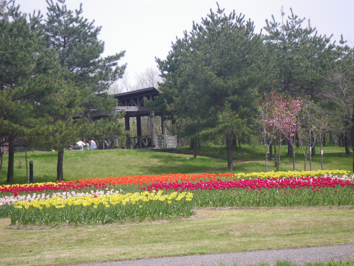 Resize0027_2