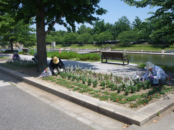 Imgp6994 Imgp6994