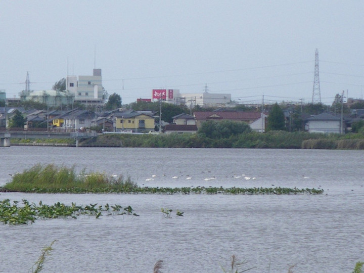 Imgp1336
