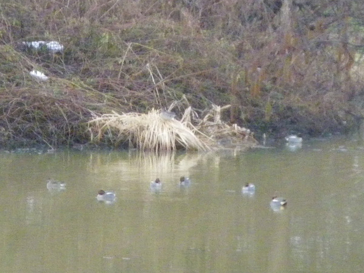 Imgp2853
