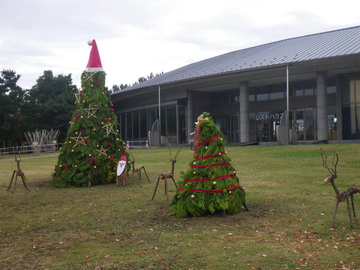 Imgp5828 Imgp5828