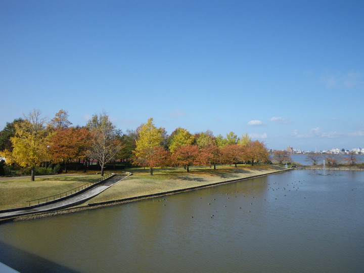 Imgp5524