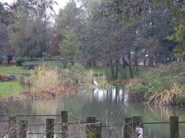 Imgp5594