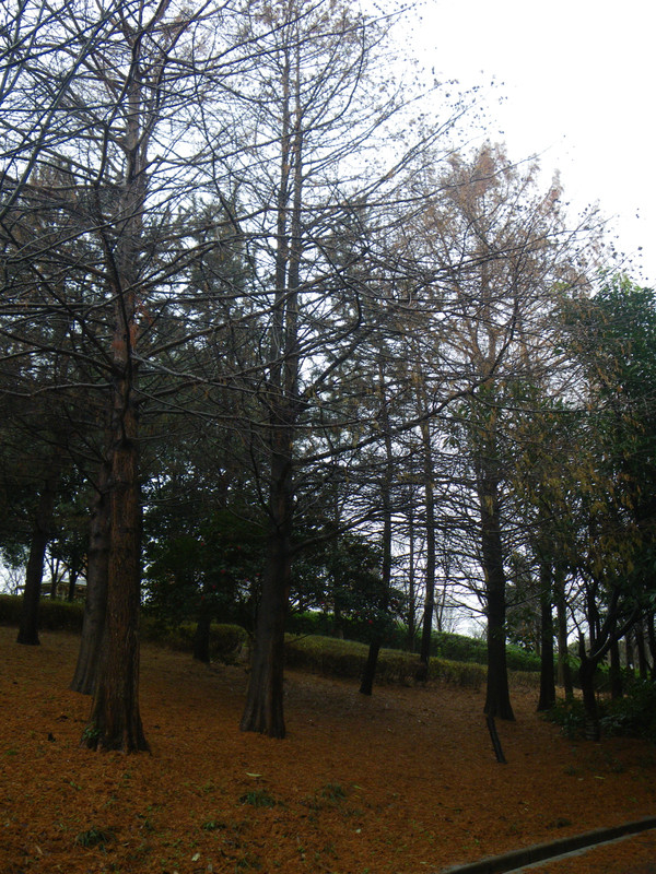Imgp5845 Imgp5845