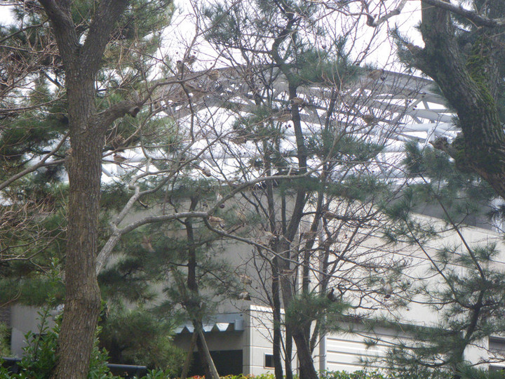 Imgp5879_2