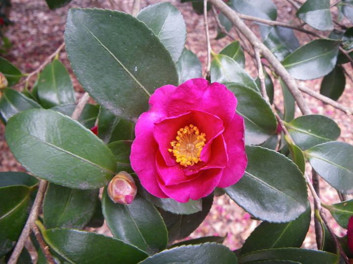 Imgp5984