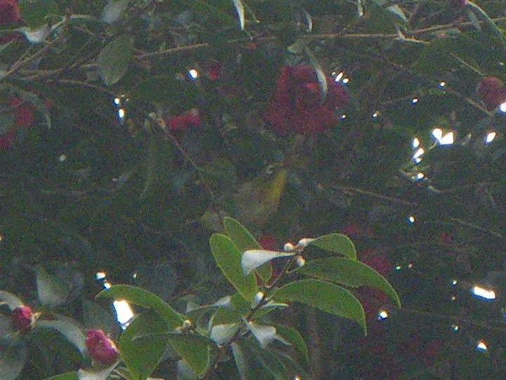 Imgp59861