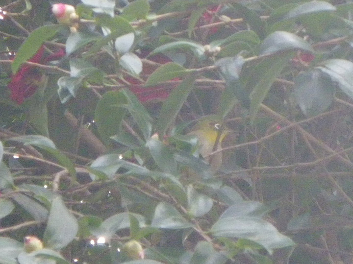 Imgp59881