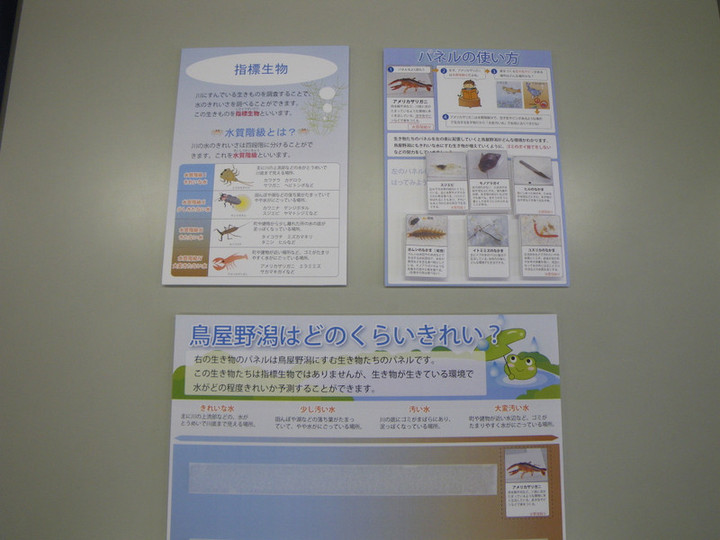 Imgp6249