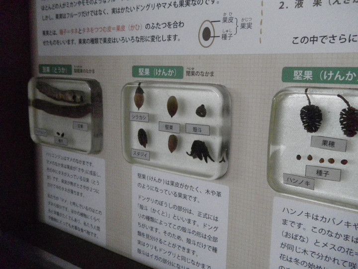 Imgp9945
