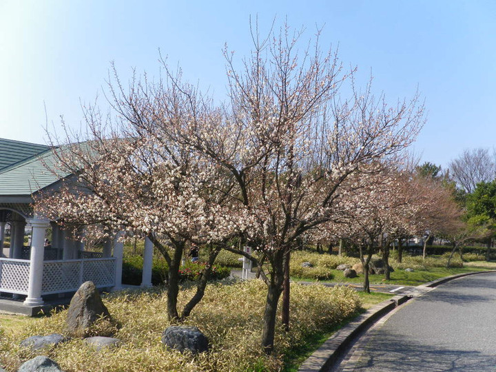 Imgp0002