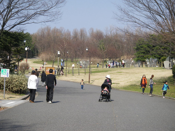 Imgp0012