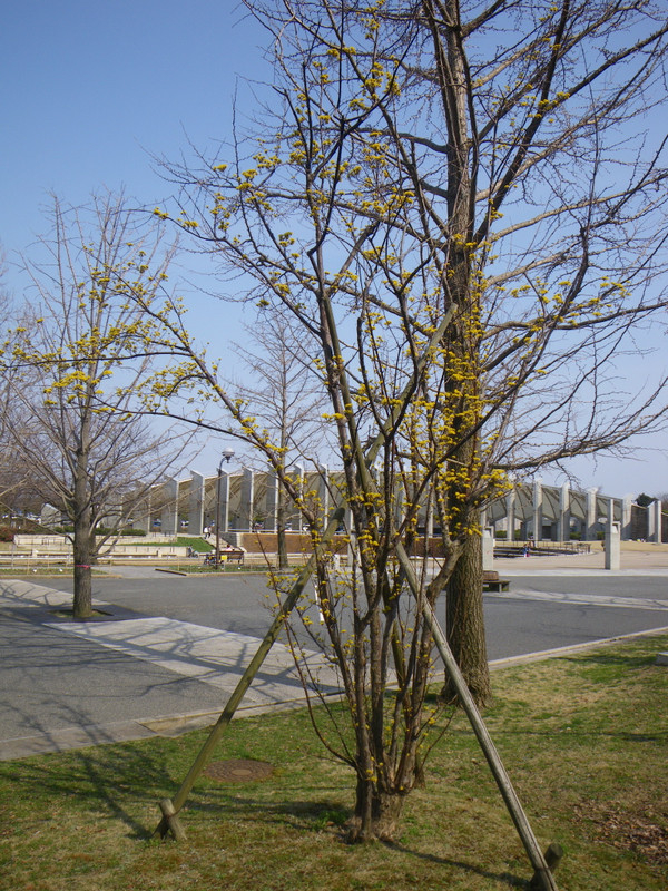 Imgp6284