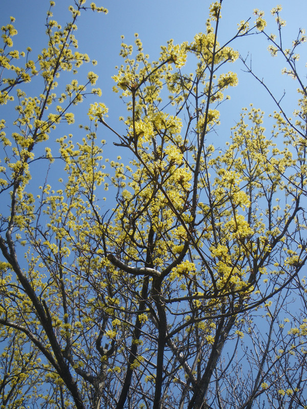 Imgp6310 Imgp6310
