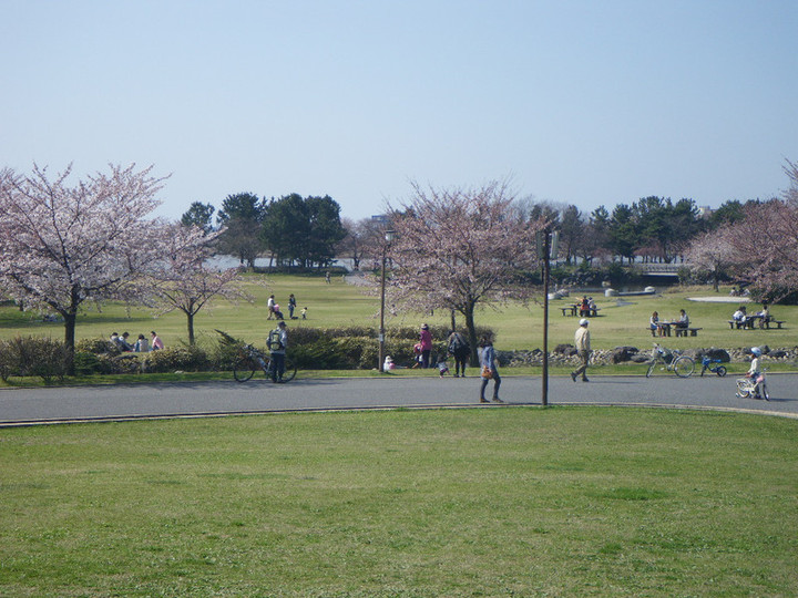 Imgp6480_2