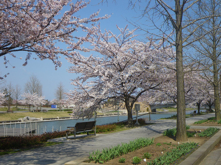 Imgp6556_2