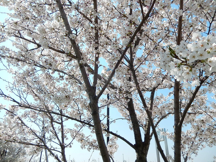 Dscn4904