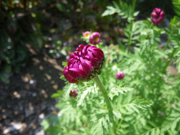 Imgp7119_2