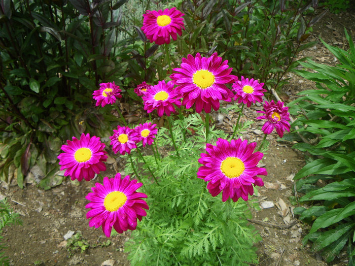 Imgp7173