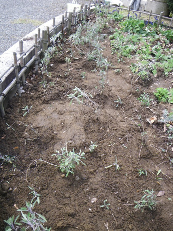 Imgp6844_4