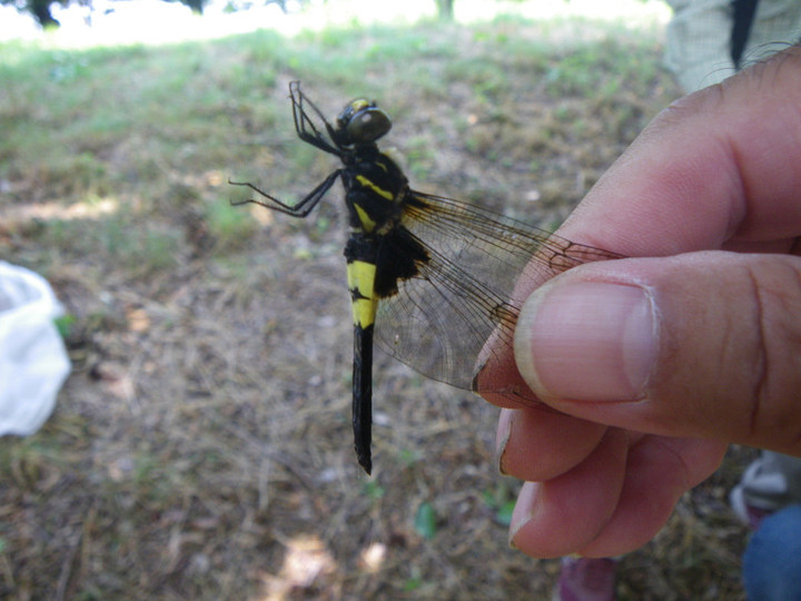 Imgp7494