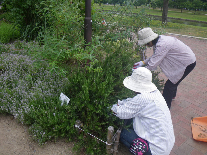Imgp7881_2