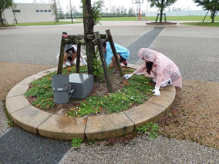 Dscn6119