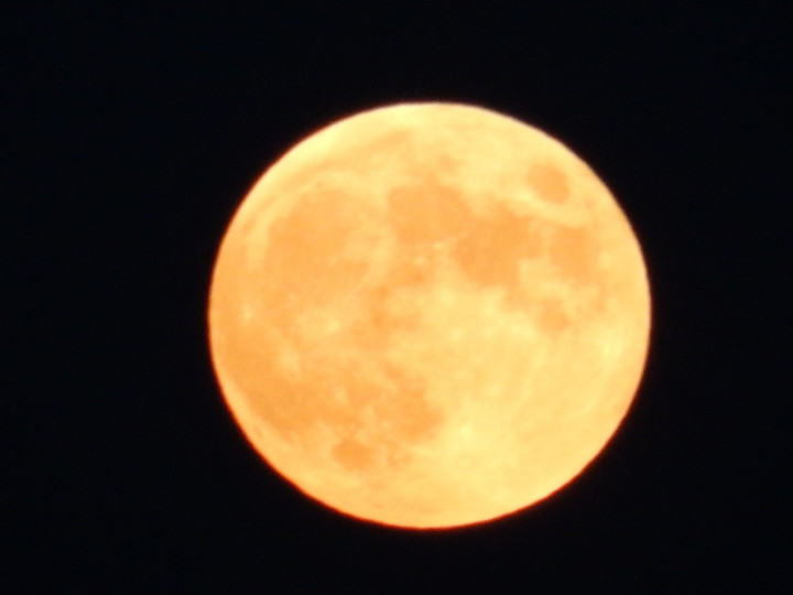 Dscn8265