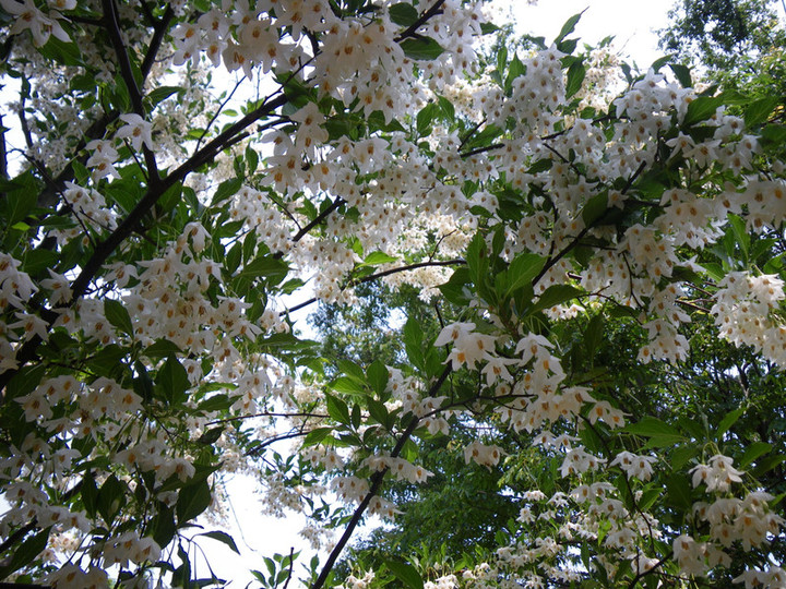 090526imgp1567 090526imgp1567