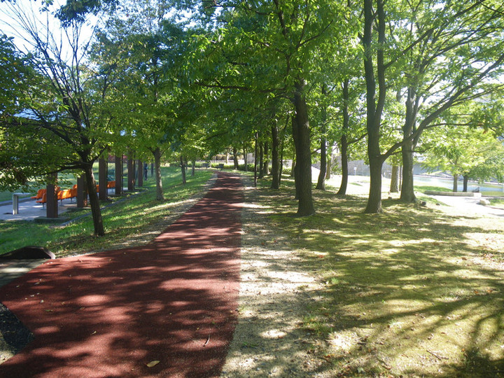 Imgp2878