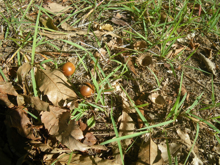 Imgp2879