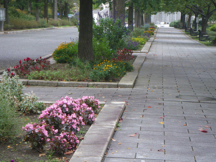 Imgp2192