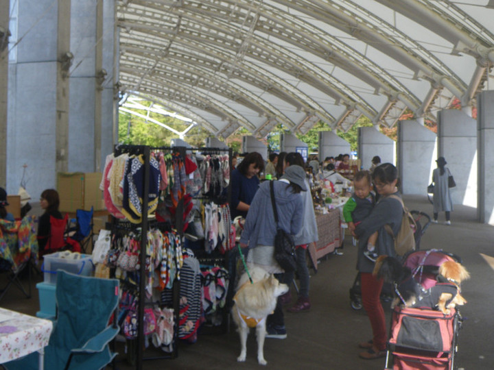 Imgp2268_3