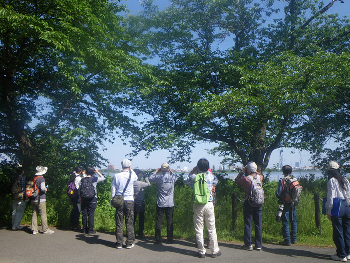Yatyou201510291