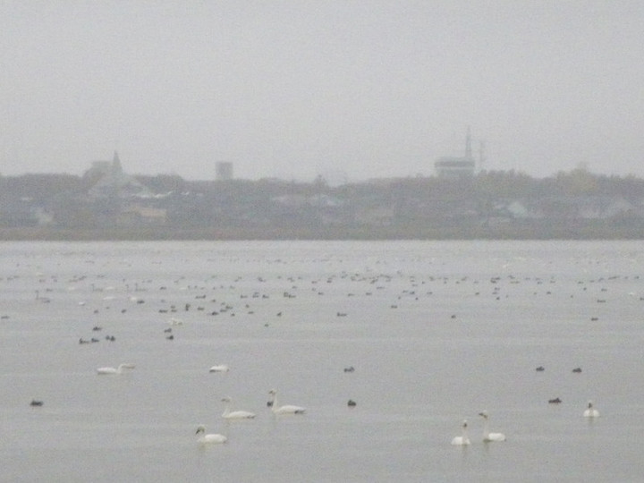Imgp3408