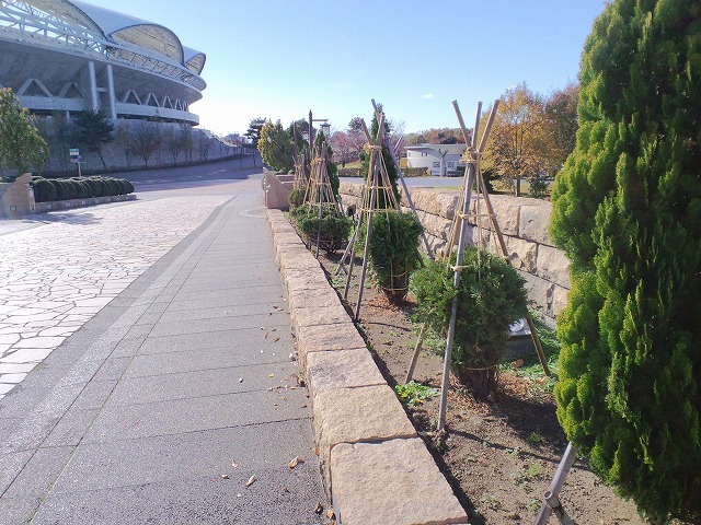 Photo_2