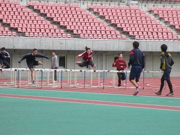 Photo_3