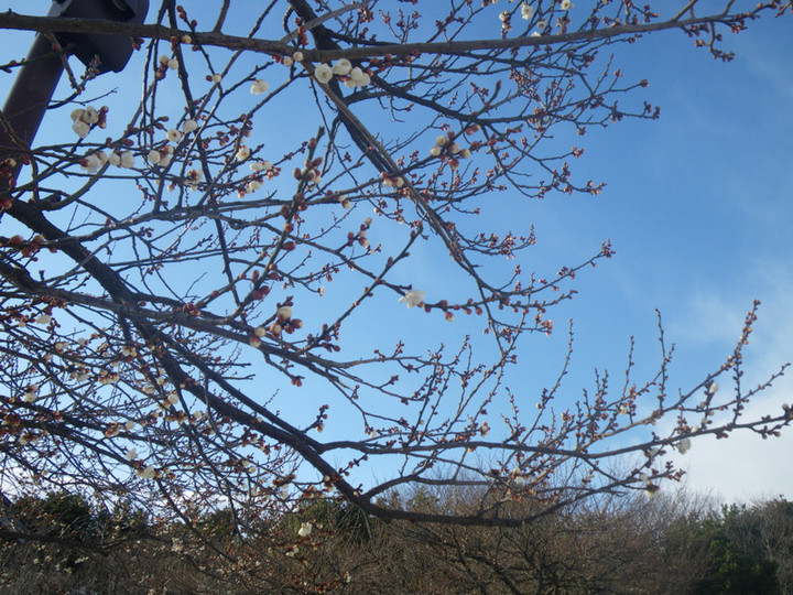 Imgp4575