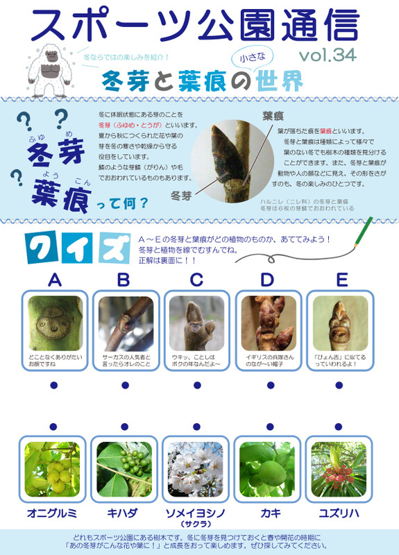 Vol341