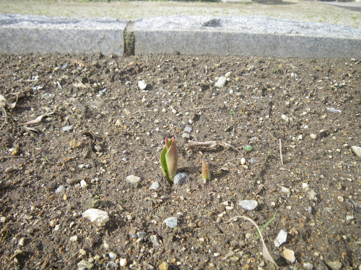 Imgp4728